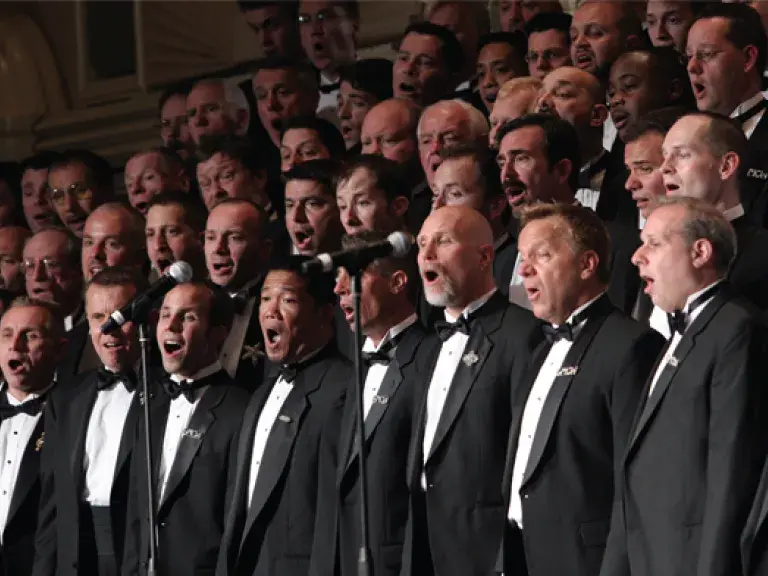 choir of adult professionals